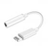 Lightning to 3.5mm Aux
